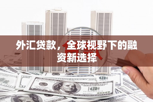 洞口外汇贷款，全球视野下的融资新选择