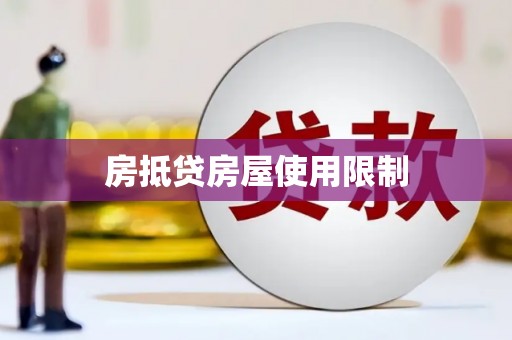 称多房抵贷房屋使用限制