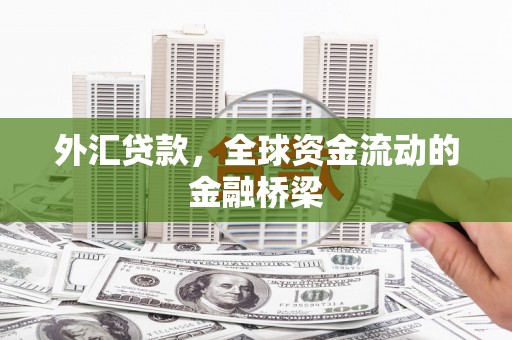 汶上外汇贷款，全球资金流动的金融桥梁