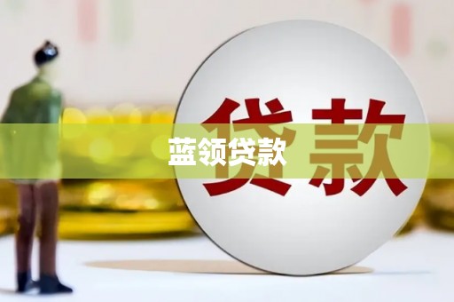 金普新区蓝领贷款