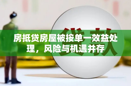 庆元房抵贷房屋被按单一效益处理，风险与机遇并存
