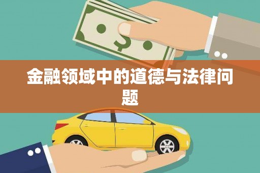 凤山金融领域中的道德与法律问题